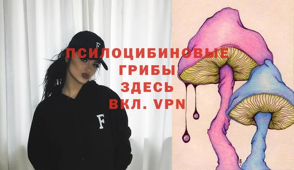 mix Переславль-Залесский